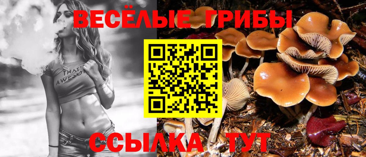 Галлюциногенные грибы GOLDEN TEACHER  Вход с VPN  Томск  Псилоцибиновые грибы прущие грибы 