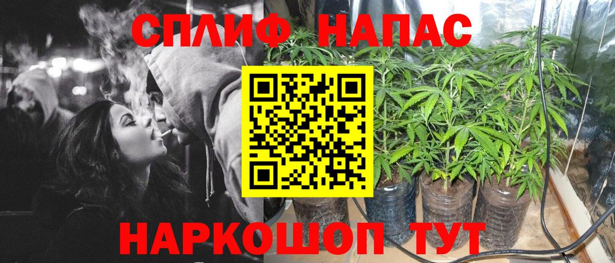 Конопля MAZAR Томск